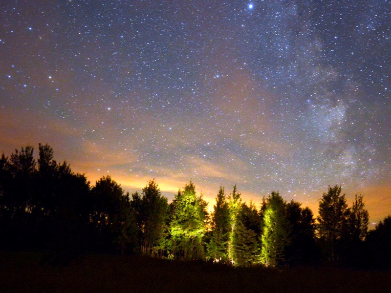 Robert Holmberg paints with light on trees the AU for Athabasca University during the 2013 Rotary Youth Academy program &#8220;Photography and the Night Sky &#8220;. This