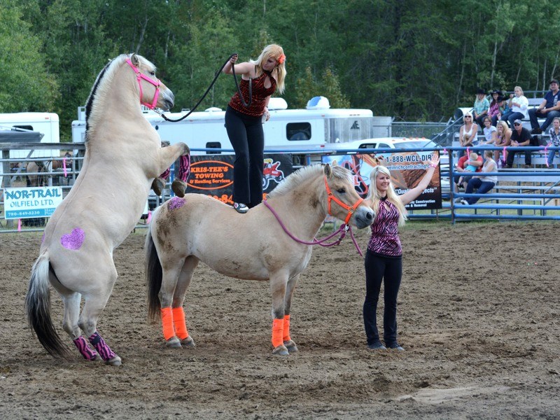 The Dare Devil Divas from Onoway, AB, impressed the crowd at the 34th annual Smith-Hondo Fall Fair and Rodeo last Saturday. Dayna Powell stands on Norwegian Fjord Minnie,