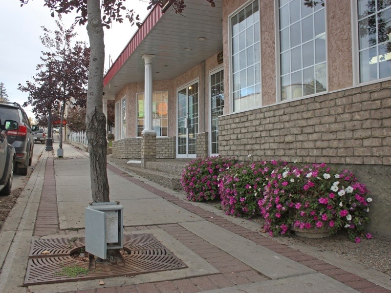 Arborist Chandra Clark has recommended to town council that it get rid of Christmas light infrastructure like this power outlet at the base a tree downtown. She believes