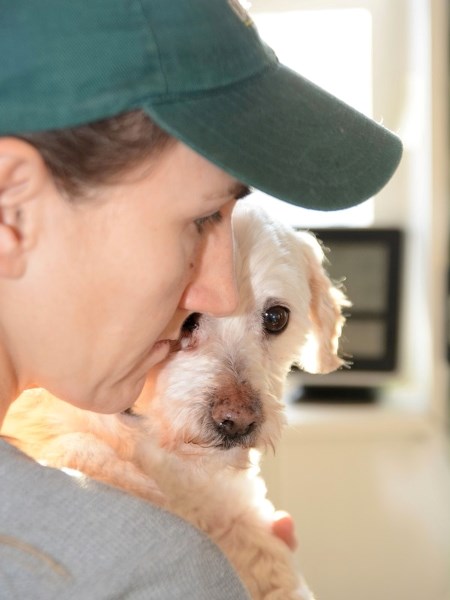 Sammy&#8217;s Pet Boarding owner Vicki Stafford focuses her efforts on her boarding kennel operations, but about 20 per cent of her current operations accommodates stray