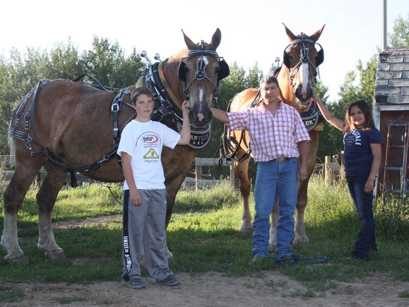 (l-r) Scott, Kevin and Katelyn Danyluk with Ace and Bob. Ace and Bob pulled in the heavyweight category at the Calgary Stampede last year; this year, they are on separate