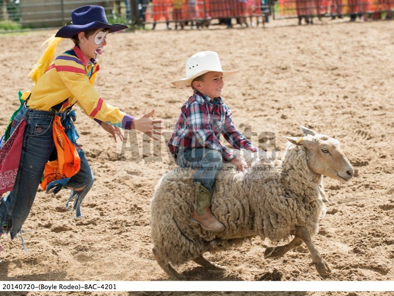 One of the clowns keeps a close eye on Brody Maloney of Boyle, who just can&#8217;t get the smile off his face while riding a sheep in the mutton-busting competition Saturday 