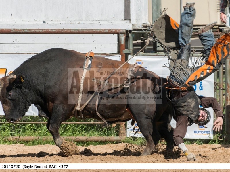 Dusty Glenn of Spruce View is turned upside down by bull Diddly Doo during July 19th action at the Boyle Rodeo.