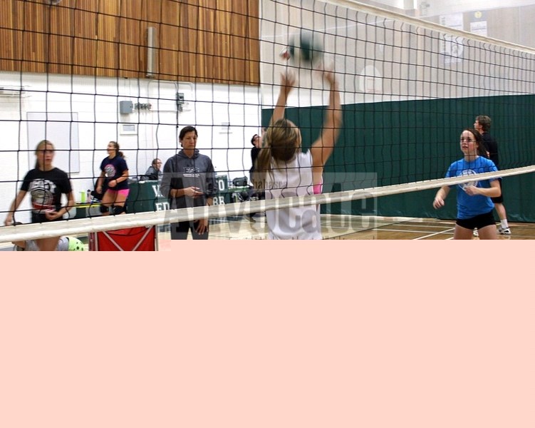 Some members of the EPC Predators senior girls volleyball squad work on setting the ball during a recent practice.