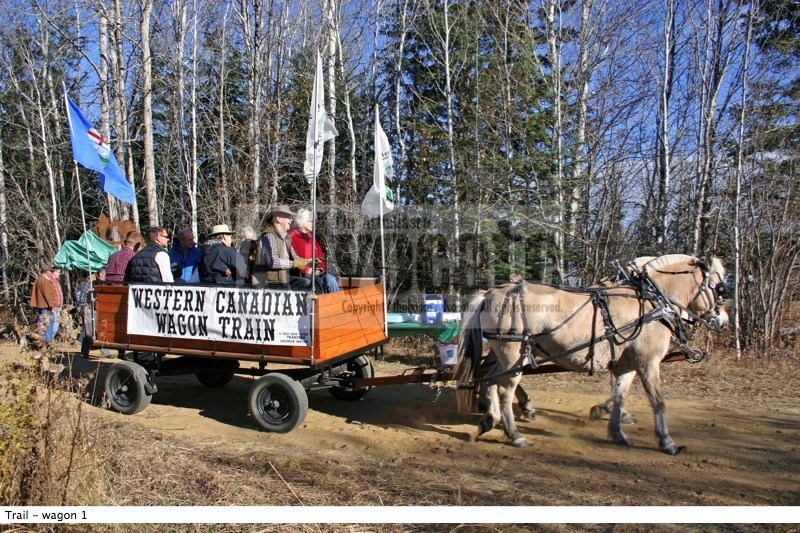 People attending the grand opening of the Athabasca to Colinton trail portion of the Trans Canada Trail and Historic Athabasca Landing Trail last Saturday hitch a ride on one 