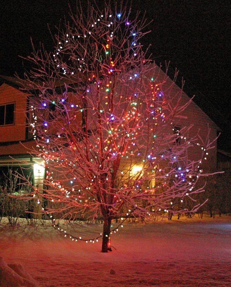 The holiday season is a time when many people deck their houses out with bright multicolored lights and other decorations. Houses &#8211; and trees &#8211; all over Athabasca 