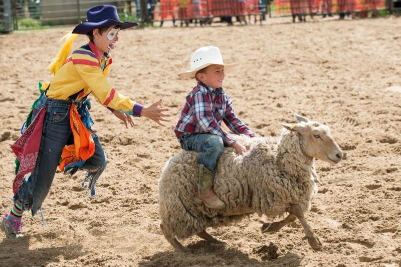 While their are going to be changes coming to who will be performing as part of the nightly entertainment at the annual Boyle Agricultural Society&#8217;s rodeo, the hope is