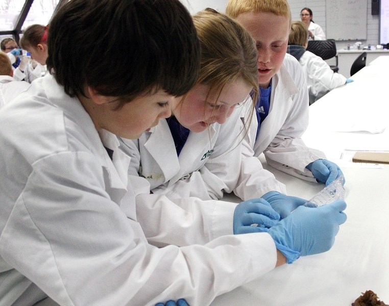 (l-r) Keenan Ponich, Emma Kamelchuk and Jacob Kociuba take a look at one of the pieces where samples are placed to begin the process.
