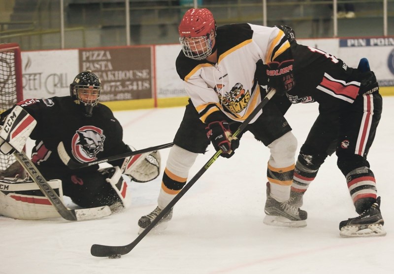 Sean Greene skates the puck into the corner before dishing out a pass to his teammate. Greene assisted on the game tying goal in the third period which ended up being a big