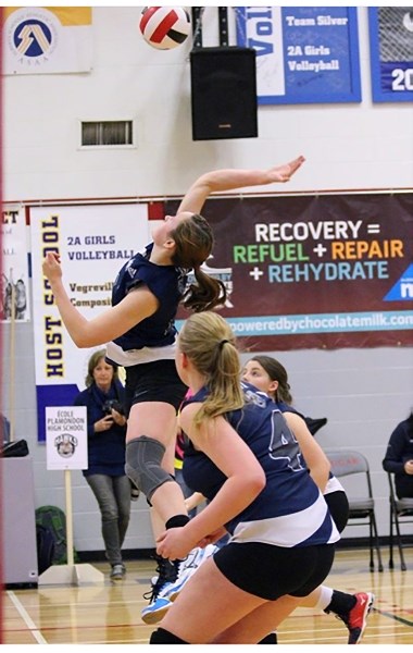 école Plamondon Hawk Shayla Ludington spikes the ball during the team&#8217;s first provincial game against Vauxhall on Nov. 24.