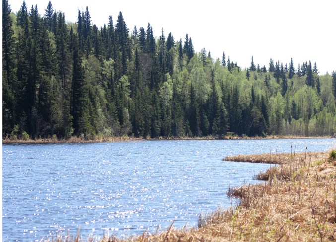 2018-5-19-JQ-Long and Narrow Lake-web