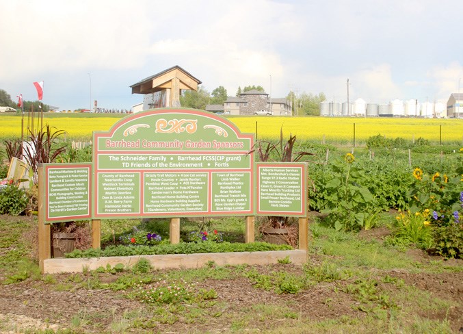 Community Garden 1