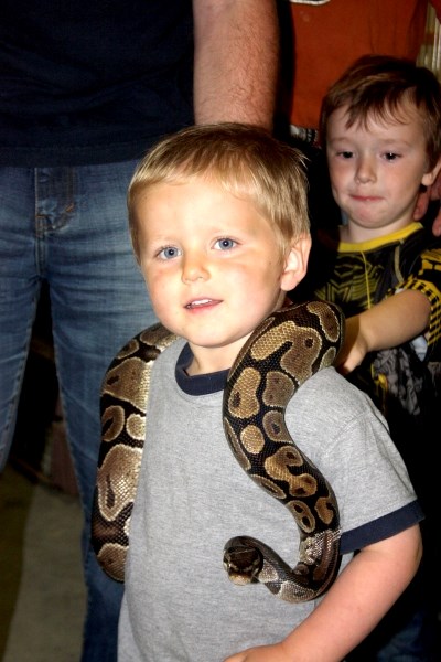 Snakes alive! James White gets up close and personal with a python.