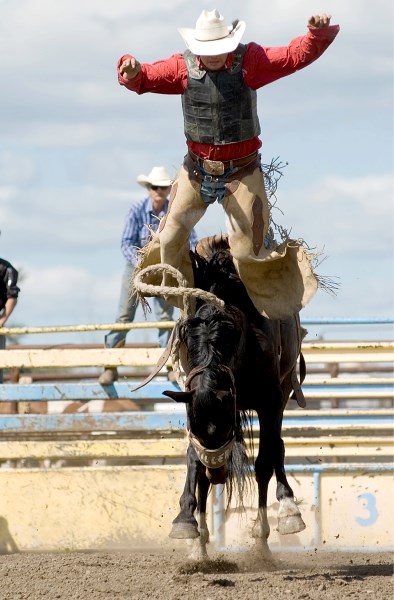 Darwell cowboy Anthony Steeves is thrown from his bucking horse during the 2012 Blue Heron Rodeo Saddle Bronc Riding competition Saturday, Aug. 11.