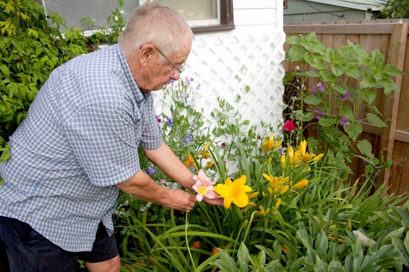 Bob Lee tends to some flowers near the back of his garden. The daylilies seen in the picture are said to grow best in full sun, although they will tolerate light shade.