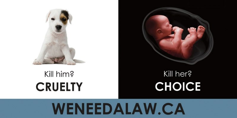 In December the the Barrhead/Neerlandia chapter of the Association for Reformed Political Action contacted Pattison billboards to see if they could place an ad on the
