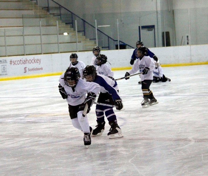 FunTeam Hockey players drag each other down the ice using their hockey sticks during their ice time on Saturday, Oct. 18.