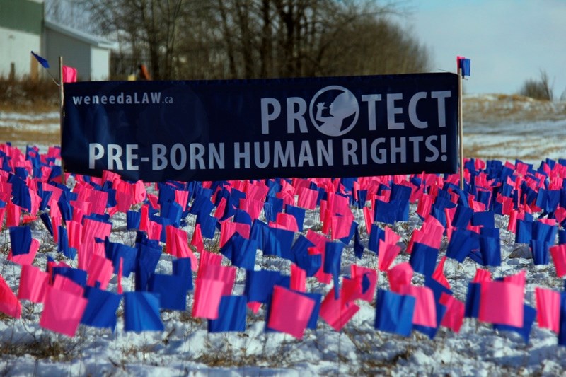 Barrhead and Neerlandia ARPA Chapter held a demonstration on Monday, Nov. 10, using flags to represent unborn children in Canada.