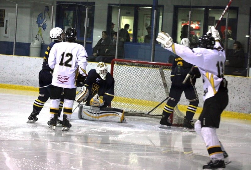 The Steelers celebrate a goal scored by Tanner Whiting late in the second period.