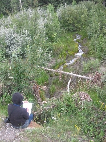 Painting on location near Lake Abraham.