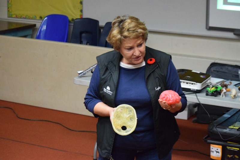 Lydia Hittinger, Alberta Farm Safety Centre instructor demonstrates what can happen to a person &#8216;s brain in an OHV or horse riding accident if they are not wearing a