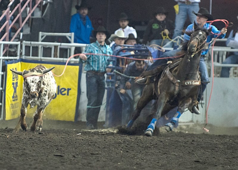 Kolton Schmidt (header) competes in the team roping event during the Saturday, Nov. 12, matinee performance of the Canadian Finals Rodeo in Edmonton. Although Schmidt and his 