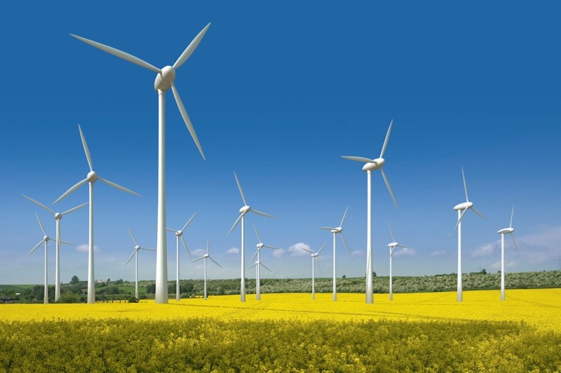 Wind turbines, such as the ones pictured above, provide all Pembina Hills Public Schools electricity needs in all of its schools and administrative buildings.