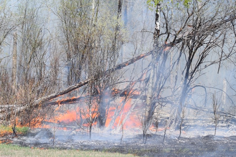 The Barrhead Fire Department is gearing up for what could be a busy wild fire season. This picture was taken last April at a grass fire near Range Road 45 and Township 590.