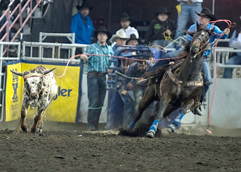 Barrhead native Kolton Schmidt ropes a steer during the 2016 Canadian Finals Rodeo in Edmonton. Schmidt has been on the professional roedo circuit since 2011.