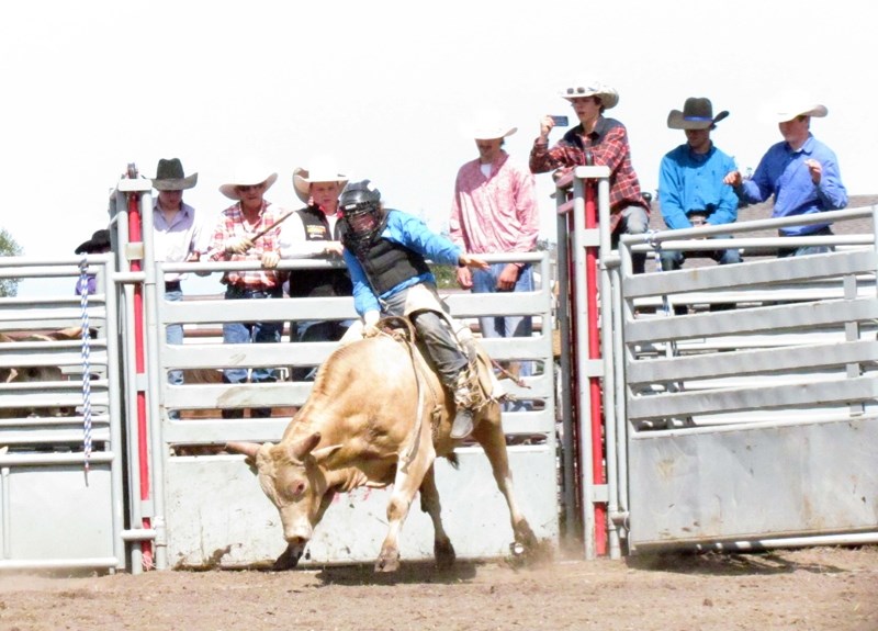 Tyson Bailey competes in the bull riding competiton during last year &#8216;s Blue Heron Fair Days Rodeo.