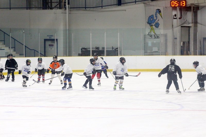 Sixty-two children registered for Fun Hockey in Barrhead on Sept. 26. Each child is grouped with others in similar age groups, from five to nine years old, 10 to 13 and 14 to 