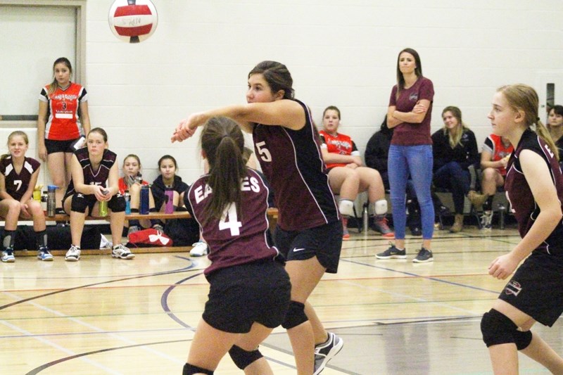 Darrah Bakker sends the ball over the net during a set against the Breton Cougars. Neerlandia won 25-14 and 25-20 respectively. The games were part of zone finals.