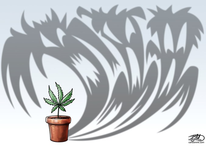 Toonink6469_PotFears(choriz)