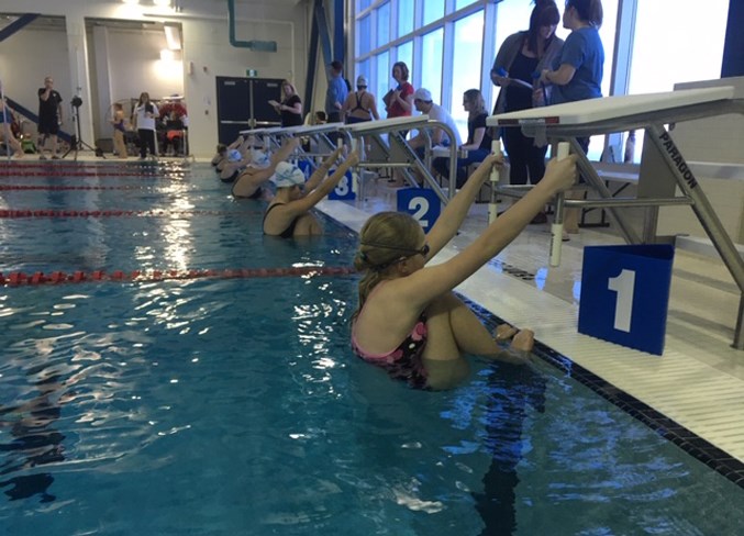 A heat of girls backstroke athletes wait for the starting horn.