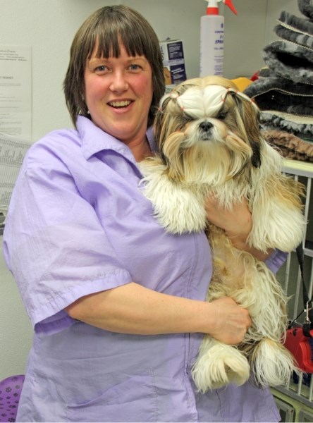Shih Tzu breeder Bridget Simon poses with Rebus, one of her show dogs, in the grooming room at the Westlock Veterinary Clinic where she works. Simon will be featured in the