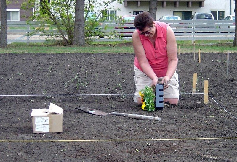 Hetty Cameron working on her garden plot near the Pembina Lodge last spring. The space at the Pembina is no longer available, but a new community garden will be created this