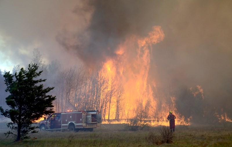 A stand of trees burns at a fire near Half Moon Lake on Tuesday, May 17. As of Wednesday morning the fire is being held.