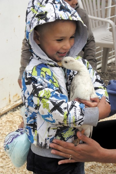 Steven Jackson, 3, gets up close and personal with a duck at Jonathan Jespersen&#8217;s petting zoo, which was a popular attraction to the Wacky Saturday street party in