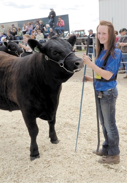 The Westlock &#038; District Grand Champion steer for 2011 is this Black Angus, ZANDER, shown by Hailey Booth of the Flatbush Beef 4-H Club. Her steer was chosen champion of