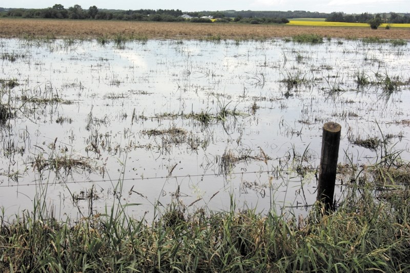Heavy rains have left many fields in the county under pools of water, like this one south of Hazel Bluff. Despite the rain, the county is not likely to declare an