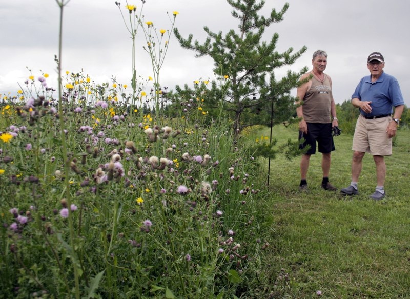 Westview Estates residents Gary Wheeler (left) and Siegmund Sowada stand at the edge of Sowada&#8217;s property. Many residents in the subdivision are concerned about vacant