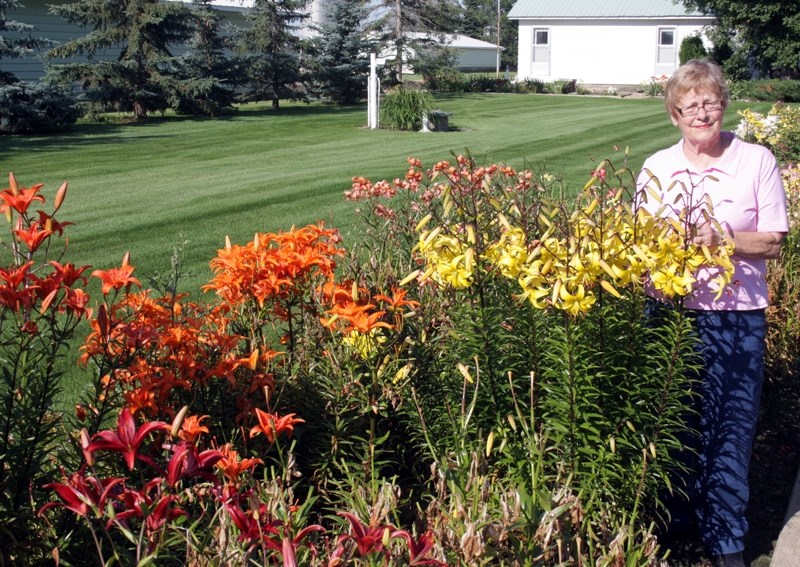 Fifty-year member of the Pembina Garden Club Audrey Wiese shows of an impressive collection of colourful lilies in her garden in the Linaria area.