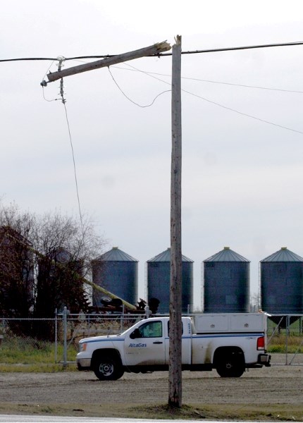 This broken power line was the reason Westlock was plunged into darkness last Wednesday.