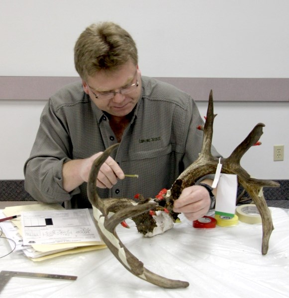 Wes Voogd, Boone and Crockett measurer, scores a set of white-tailed deer antlers as part of the Busby &#038; District Fish and Game Association&#8217;s fourth annual horn
