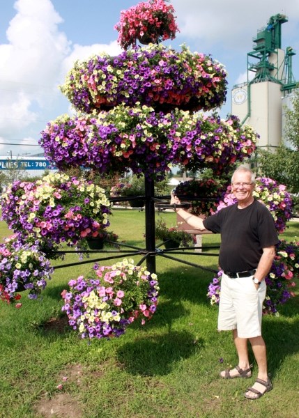 Legion president Chuck Naylor stands next to the now-empty ring on the petunia tree, located in the park at the north end of Main Street. Five of the baskets were stolen last 
