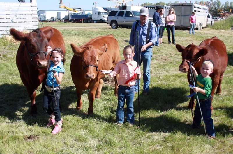 The beef show gets right at the root of what the ag fair is all about. Here, from left, Taviane Yoder, 5, with her heifer Ruthie, Bailey Smith, 5, with her heifer Pinkie, and 