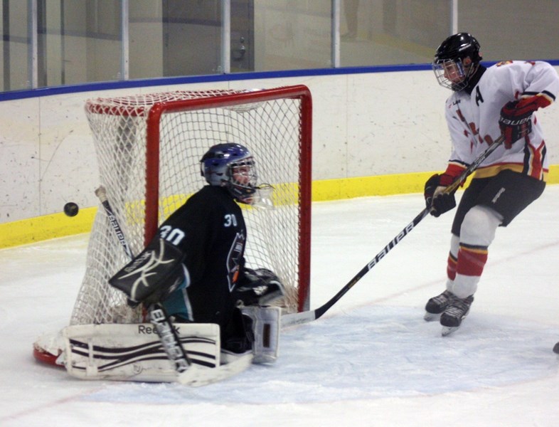 Adam Hardinge missed a scoring opportunity here against the Warburg Sharks, but he can console himself with a hat trick during a 7-5 Friday-night win over the Winfield Mighty 