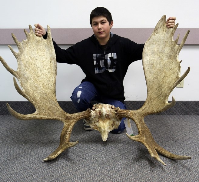 Brayden Fibke, 12, shows off his moose rack at the Busby and District Fish and Game Associations fifth annual Antler Scoring and Tradeshow on Saturday. His rack earned him a