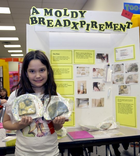Busby School’s Skye Sekulich shows off some of the mouldy bread she grew for her science fair project at the 44th annual Westlock Local Science Fair held Wednesday.