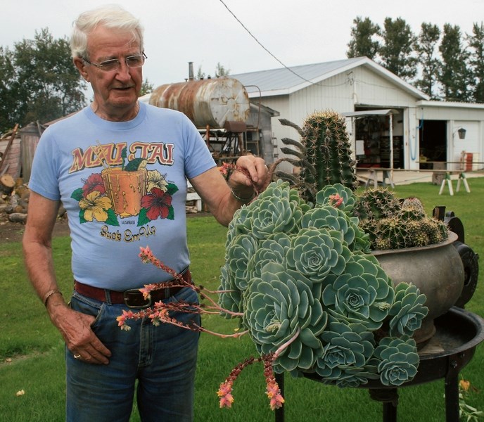 Mel Primrose showed off a unique cactus plant in his yard on Thursday morning. He explained the pedals were not sharp to touch and rubbed his fingers on the side of the